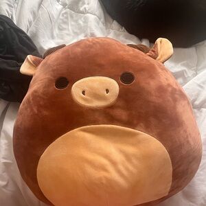 Maurice the moose squishmallow